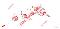 CRANKSHAFT для Honda SCOOPY 110 PRESTIGE GUY 2012