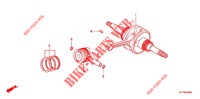 CRANKSHAFT для Honda SCOOPY 110 2012