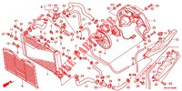 RADIATOR   для Honda CB 600 F HORNET ABS 34HP 2011