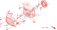 COOLING FAN   RADIATOR COVER для Honda ZOOMER 50 2012