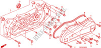 SWINGARM   LEFT CRANKCASE COVER для Honda ZOOMER 50 2009