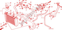 RADIATOR для Honda CBR 125 TRICOLOUR 2010