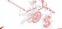 REAR BRAKE PANEL   SHOES для Honda CRF 80 2011