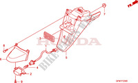 REAR FENDER для Honda LEAD 110 2010