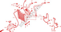 RADIATOR для Honda S WING 125 FES ABS 2009