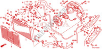 RADIATOR для Honda CB 600 F HORNET ABS 34HP 2010