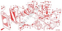 RADIATOR (VT750C2B/C2S/CS/C/CA) для Honda SHADOW VT 750 PHANTOM 2012