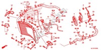 RADIATOR для Honda CBR 600 RR ABS HRC 2014