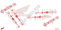 CAMSHAFT для Honda GOLD WING 1800 VALKYRIE 40TH 2015
