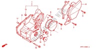 LEFT CRANKCASE COVER   ALTERNATOR (2) для Honda CBX 250 TWISTER ( polluentes) 2003