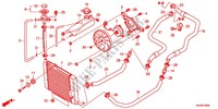 RADIATOR для Honda FORZA 250 Z SPECIAL EDITION 2012