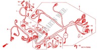 WIRE HARNESS (AVANT) для Honda RVT 1000 R RC51 2000